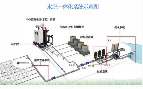無土栽培與環(huán)控水肥一體化系統(tǒng) 建筑節(jié)能設(shè)備研發(fā)入門指南